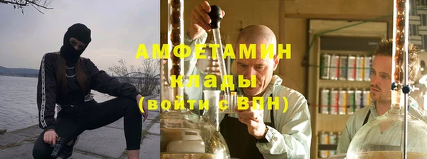 прущие грибы Бронницы