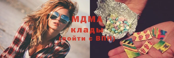 прущие грибы Бронницы