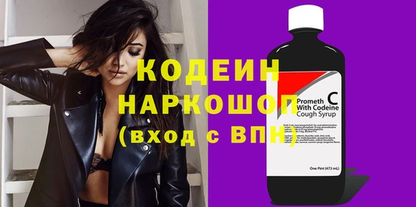 амф Бородино