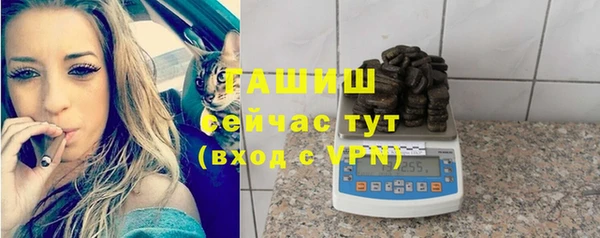 амф Бородино